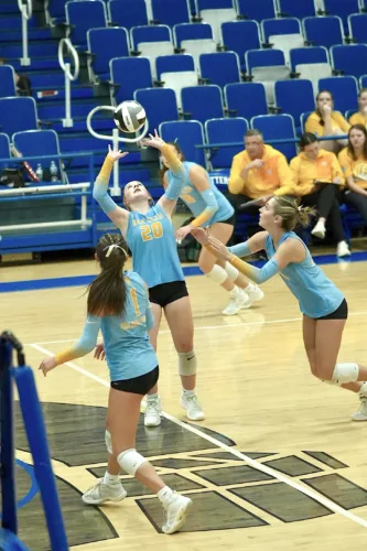Bears spike Potters, B1